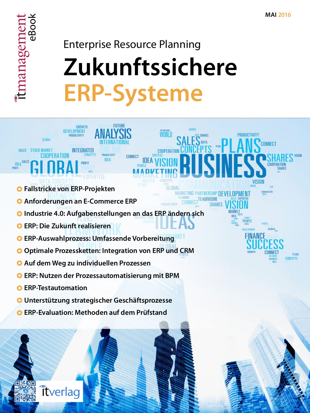 it-management e-book ERP-Systeme